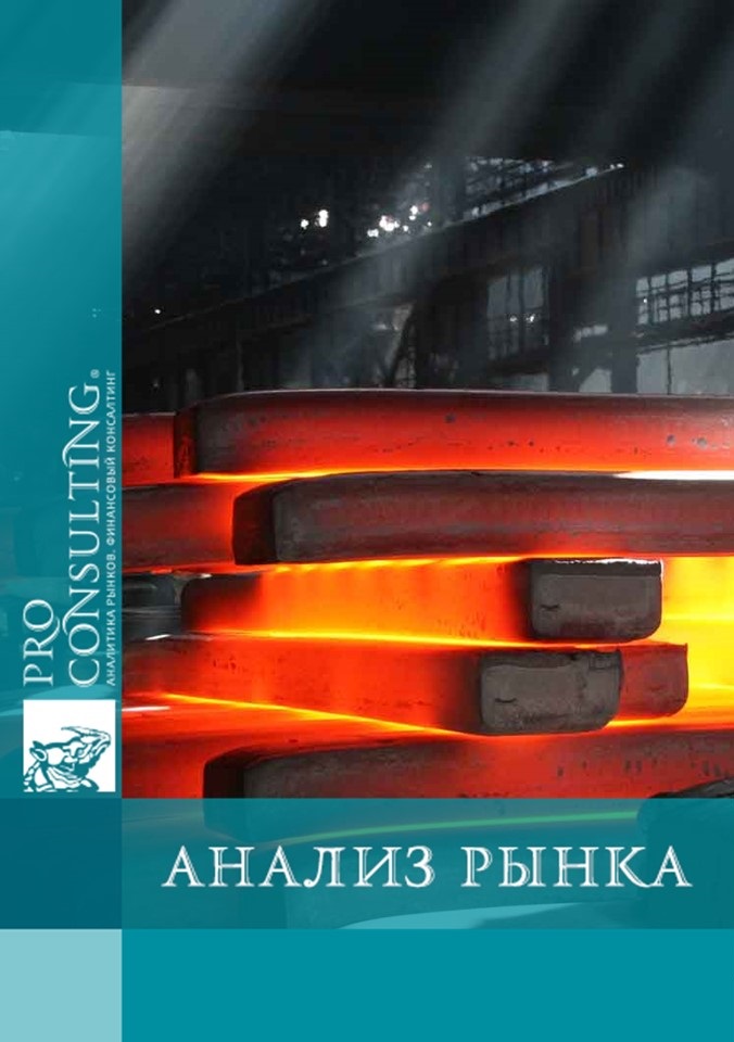 Паспорт мирового рынка металлургии. 2006 год